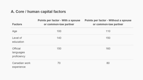 Human capital factors